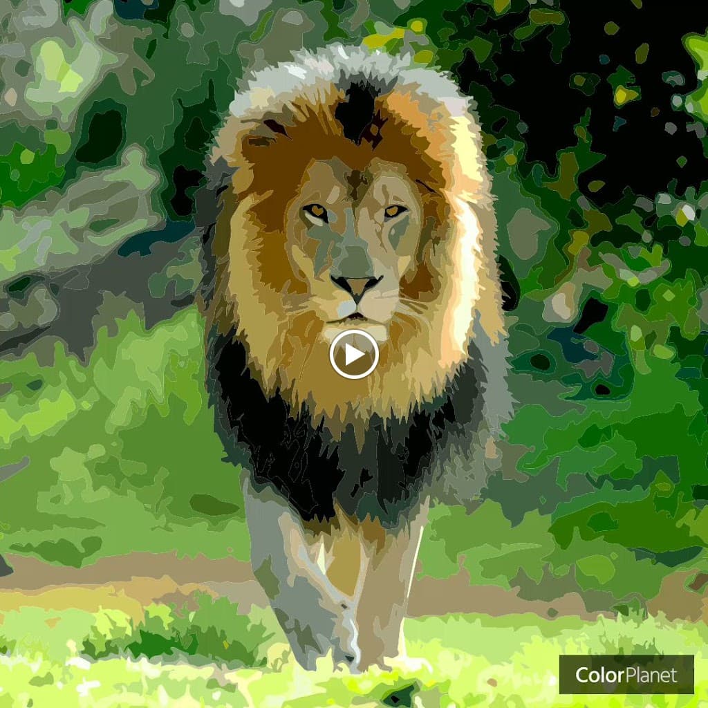 Aman Y Upadhyay, MD photo 1