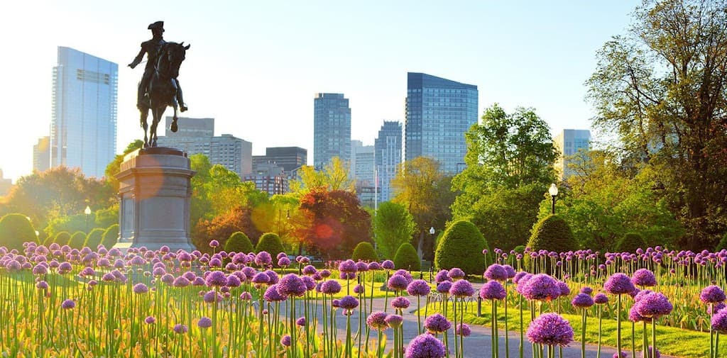 Boris Shwartzman, MD