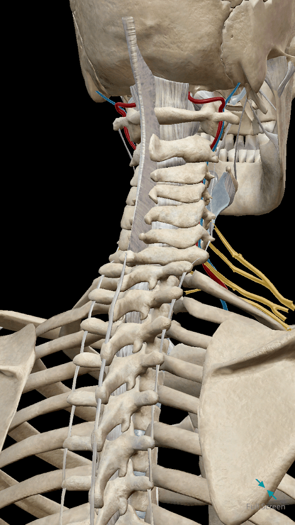 Metro Pain Associates photo 3