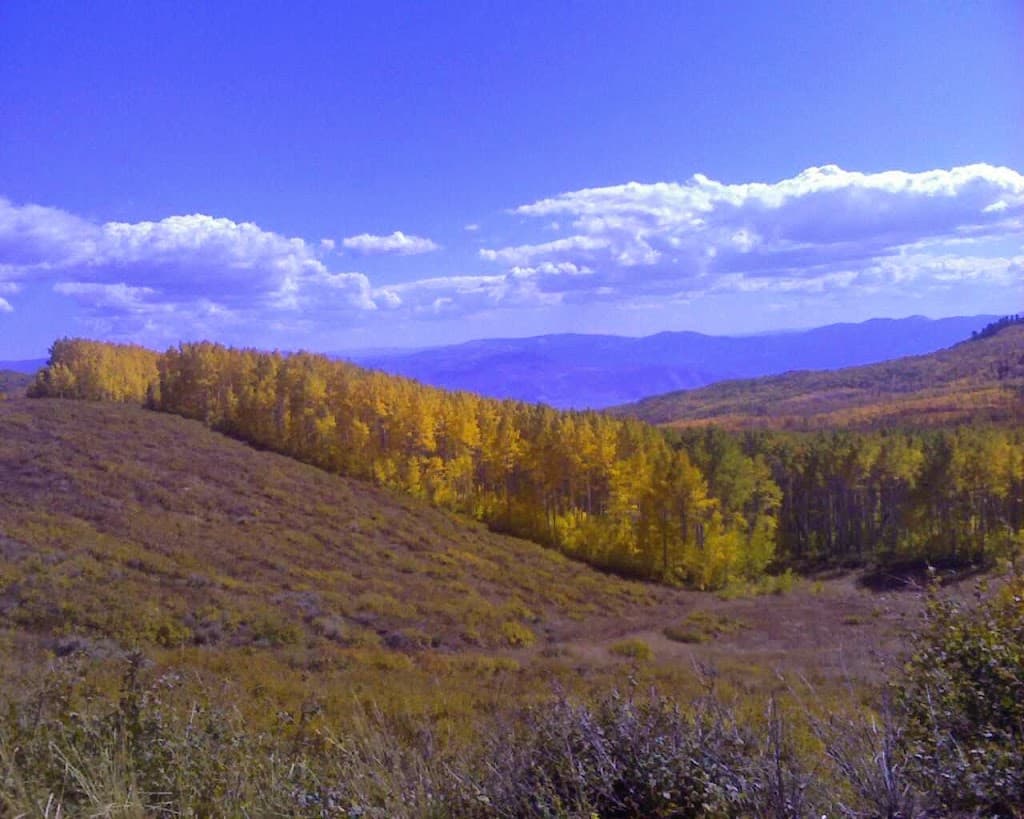 Comprehensive Pain Specialists photo 1