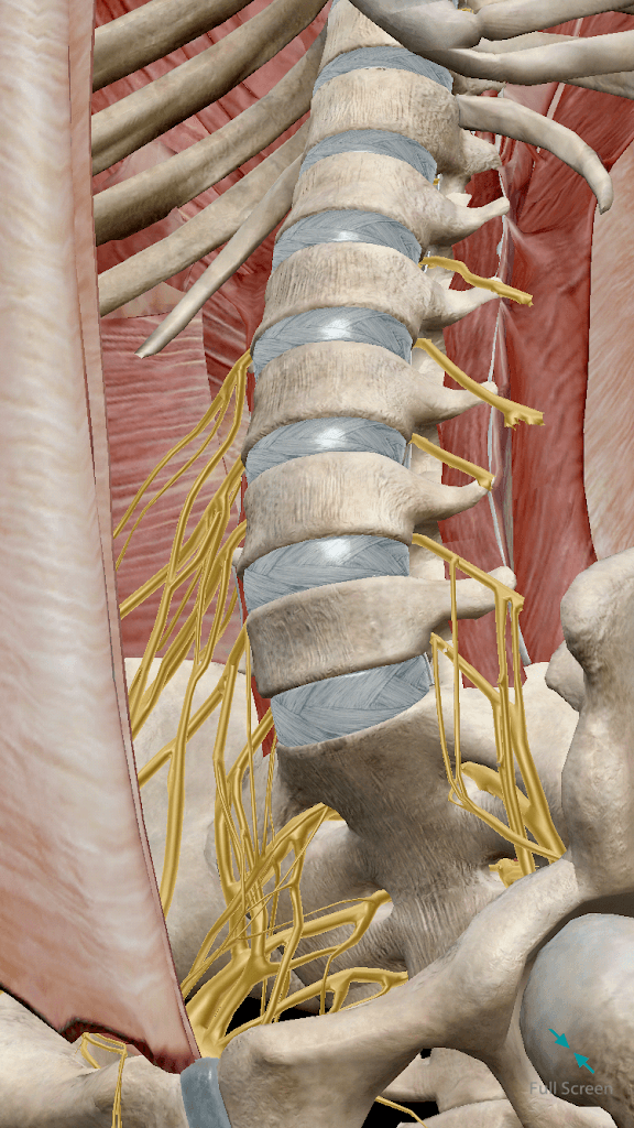 Metro Pain Associates photo 1