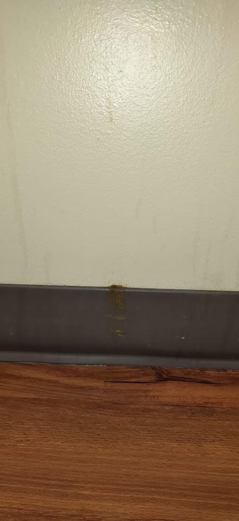 Commonwealth Pain and Spine photo 1