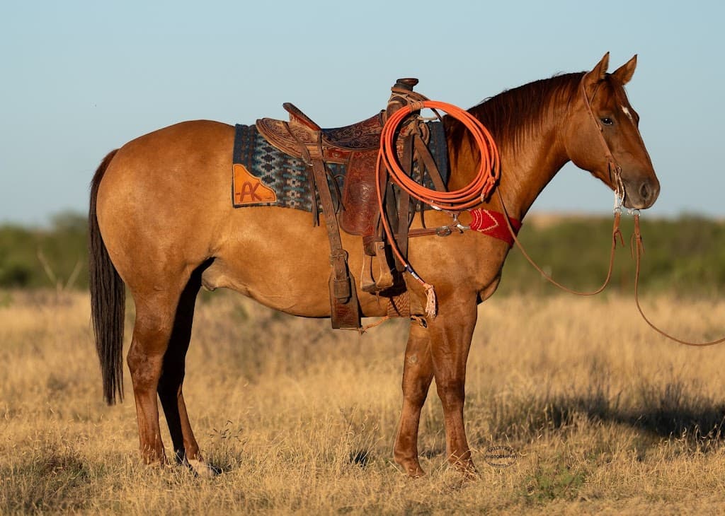 Dr. Jeff Laseter, MD photo 1