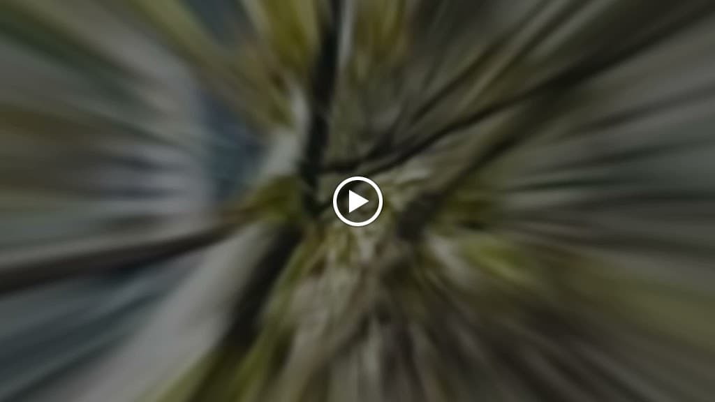 Revitalize Medical Center| Integrative Holistic Pain Clinic photo 2