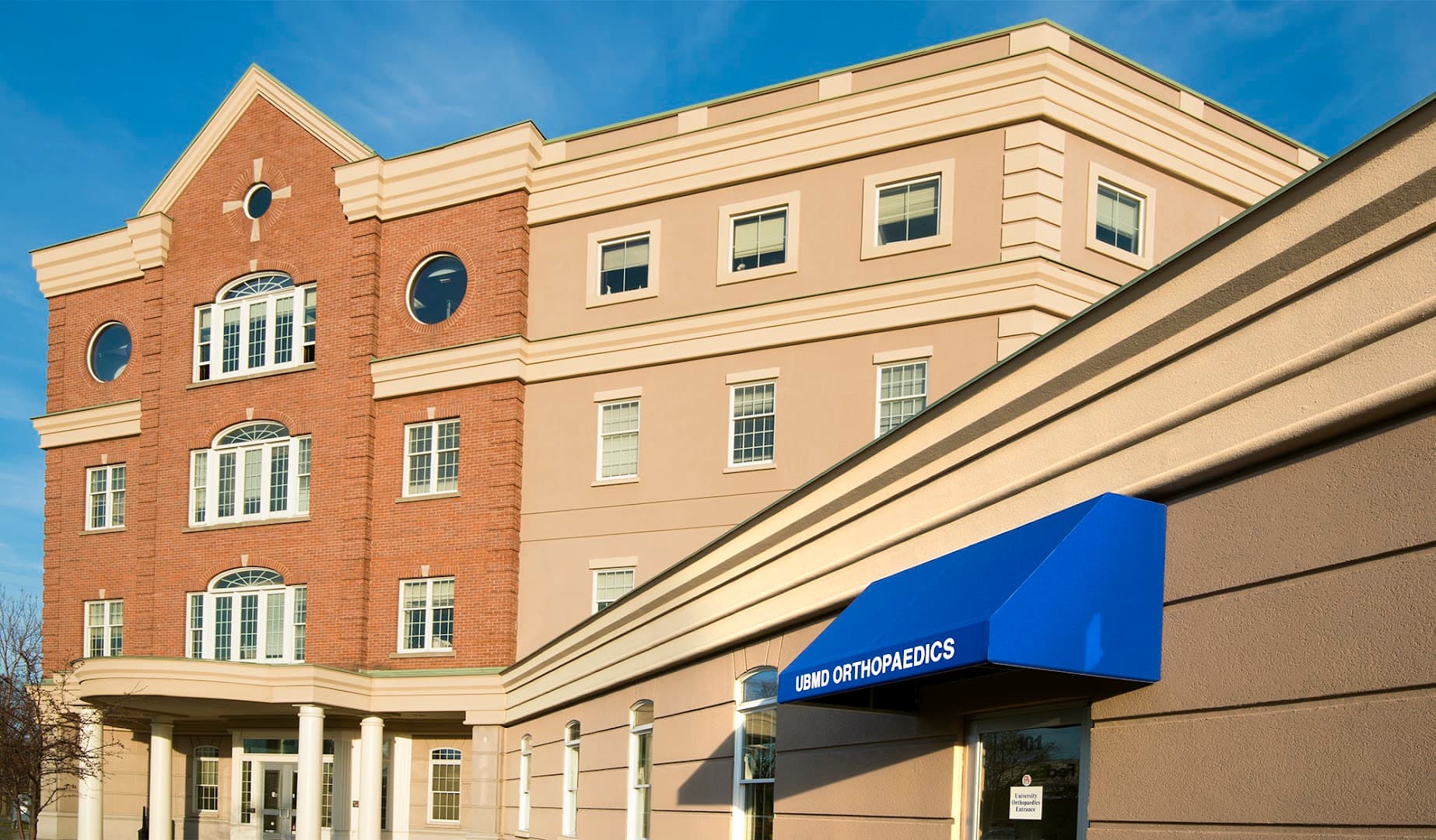 Dr. David L. Bagnall photo 3