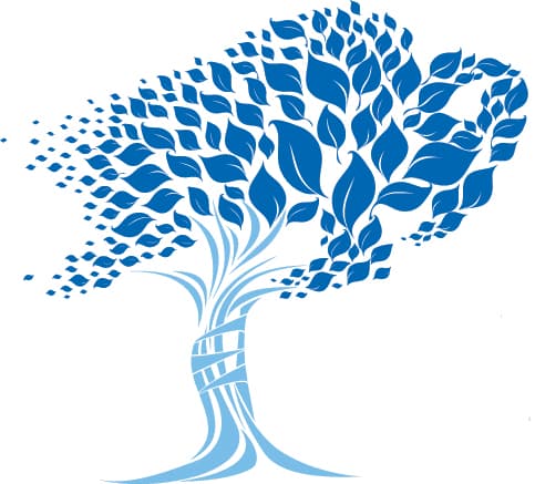 Dr. James J. Czyrny photo 4