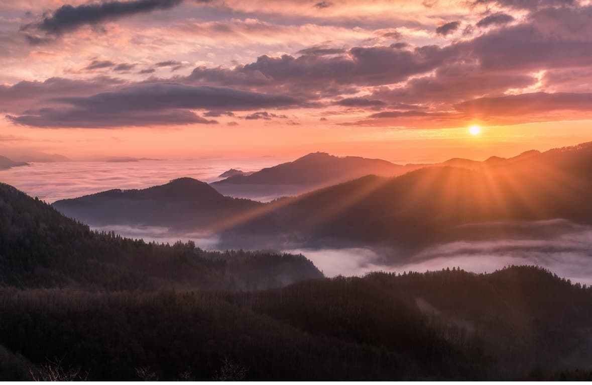 Black Mountain Wellness