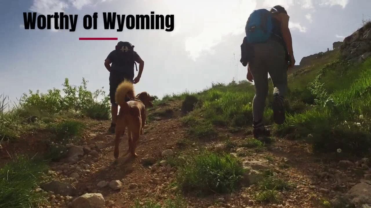 Eric B. Harris, MD photo 2