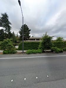 Pain Management Options