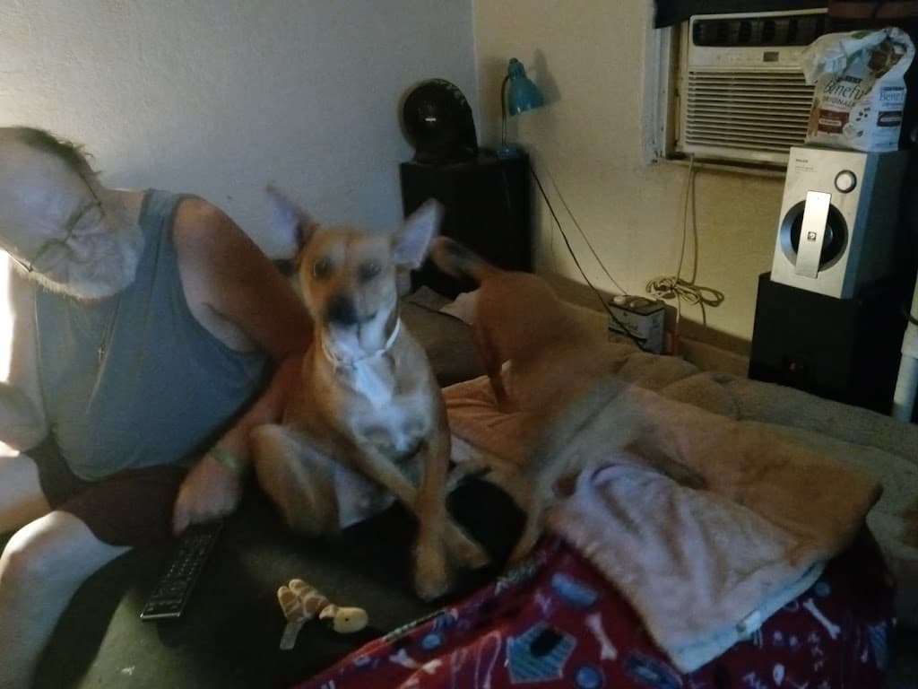 Advanced Pain Management