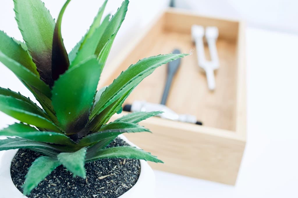 Sports Injury & Pain Management Clinic of New York