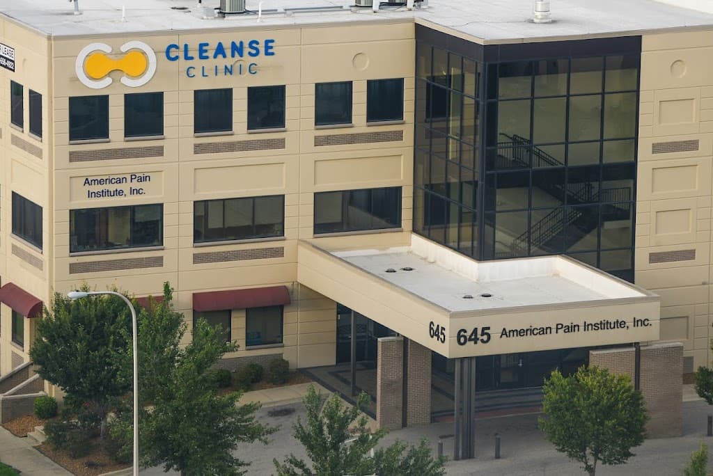 American Pain Institute, Inc.