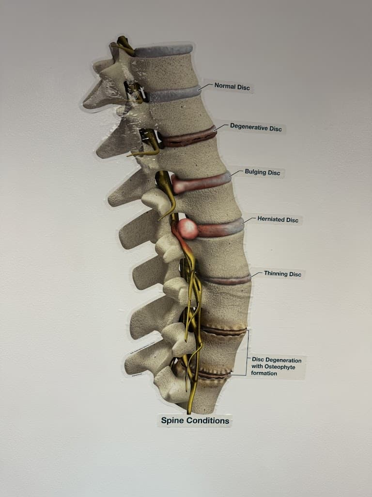 Precision Back, Neck & Shoulder Pain Treatments