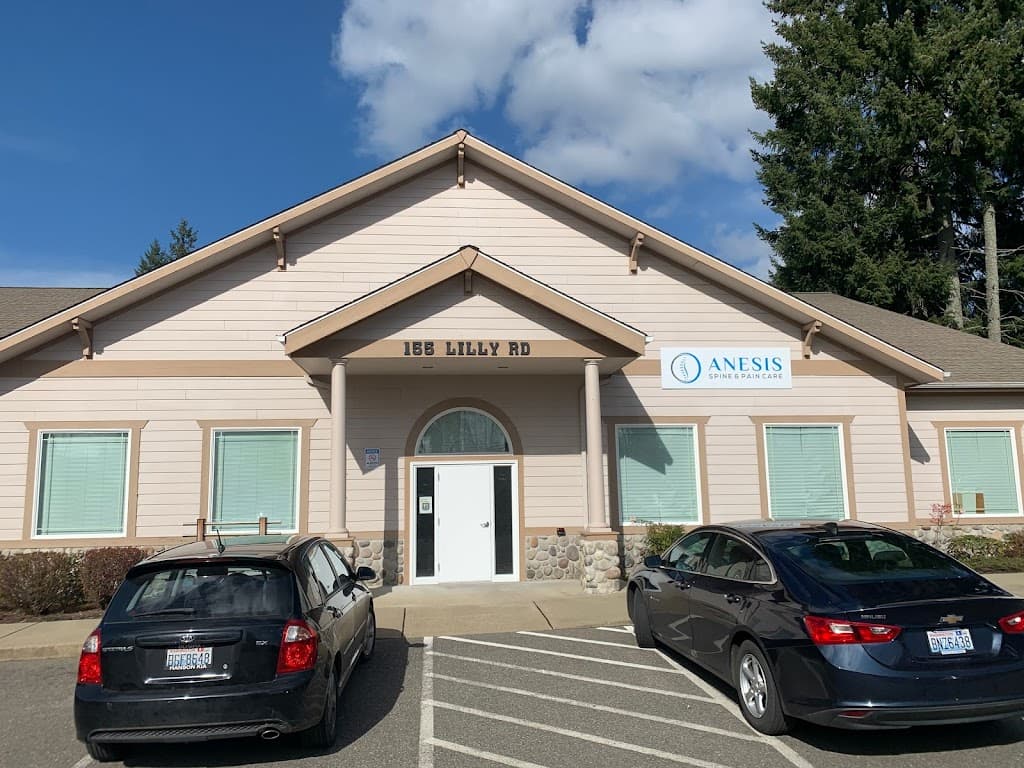 Anesis Spine and Pain Care - Olympia
