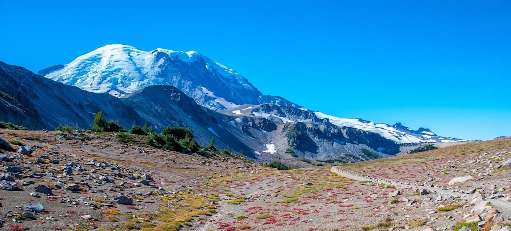 Lake Washington Pain Management